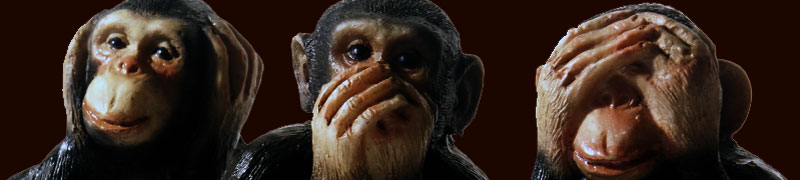 Pre-Mexico Monkey Mayhem