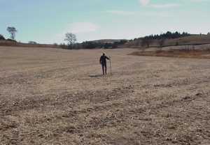 Walking The Fields